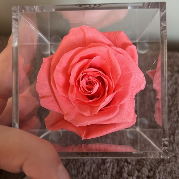 Pink forever rose - Picture 2 of 3